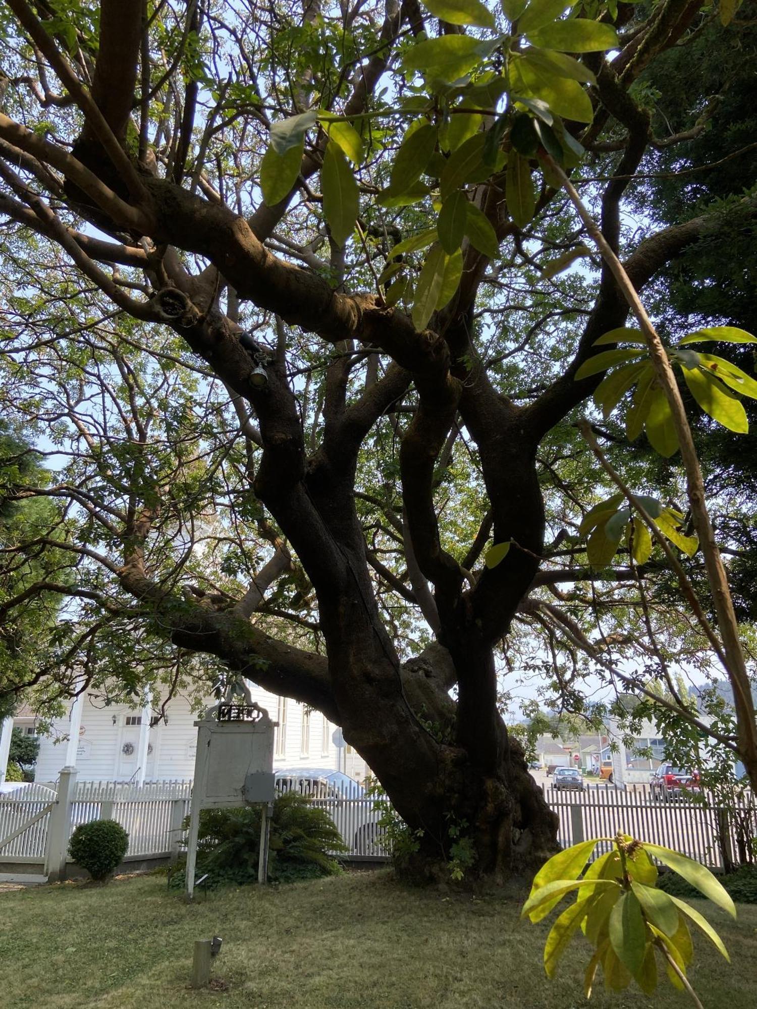 Shaw House Inn เฟิร์นเดล ภายนอก รูปภาพ