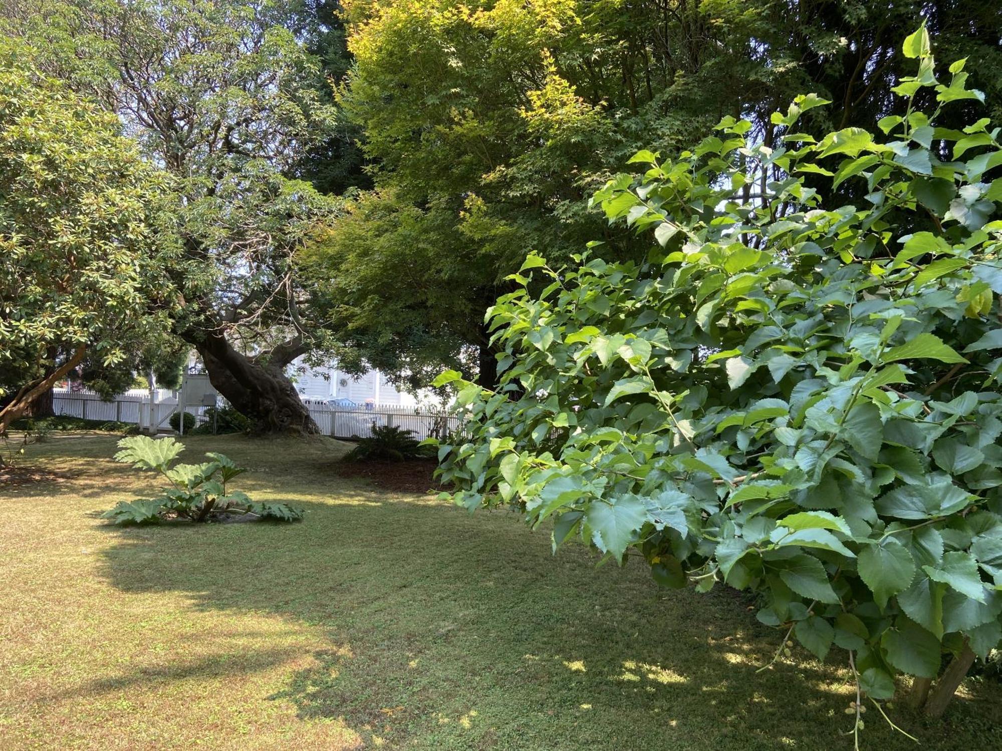 Shaw House Inn เฟิร์นเดล ภายนอก รูปภาพ